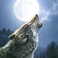 Profile Picture of Andrew Lint (@andrew-lint-3) on Quora