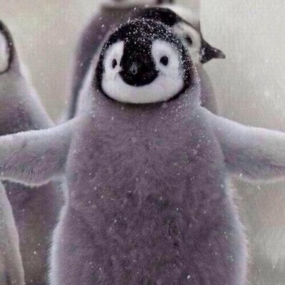 Profile Picture of Charlotte Burns (@Charl_Burns) on Twitter