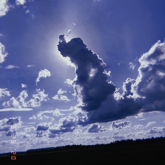 Profile Picture of Betsy Demanos (@demanosb1) on Poshmark