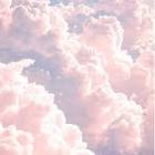 Profile Picture of   Usernamesaver... (@x....cloudy) on Tiktok