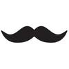 Profile Picture of Bryant Homan (@@mustachepog) on Tiktok