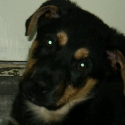 Profile Picture of Scott Millett (@55scotty55) on Twitter
