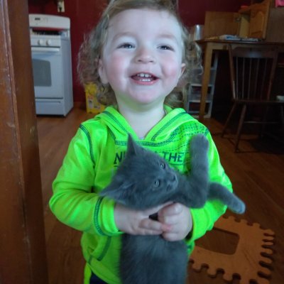 Profile Picture of Shelley Bloom (@BloomShelley) on Twitter
