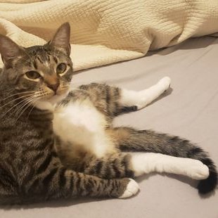 Profile Picture of Corey Godwin (@CoreyGodwin9) on Twitter