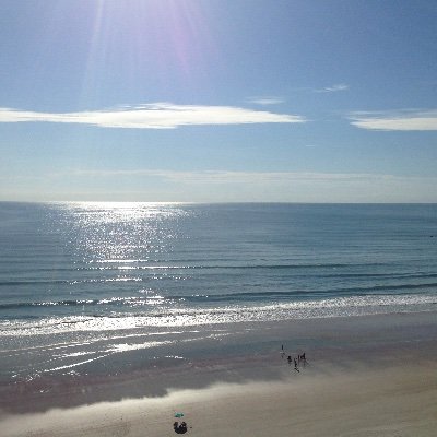 Profile Picture of Sylvia Graham (@SylviaG40972335) on Twitter