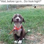 Profile Picture of dougnixon (@dougnixon1) on Instagram