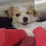 Profile Picture of Samantha Matusek (@william_thud) on Instagram