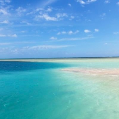 Profile Picture of Ariel_april (@k3Ki40WLgFZV3wq) on Twitter