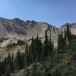 Profile Picture of Pat Garrity (@pjg823) on Instagram