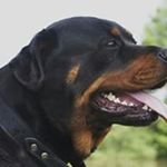 Profile Picture of Martin Silverio (@silverio.martin) on Instagram