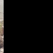 Mohamed Belkaid - Youtube Profile Picture of Mohamed Belkaid (@mohamedbelkaid987) on Youtube