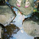 Profile Picture of Kristin Koop (@meowhoot) on Instagram