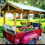 Profile Picture of SCHMIDT ACRES   Erin Schmidt (@schmidtacres) on Instagram