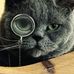 Profile Picture of Sheldon Omphexs Einstein (@sheldonomphexs.einstein) on Facebook
