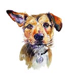 Profile Picture of Gary Hoffmeister (@gary.hoffmeister.9) on Facebook