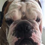 Profile Picture of Kenneth Curtis (@kenneth05046) on Instagram