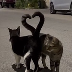 Profile Picture of Savana Severight (@sjsseveright14) on Flickr