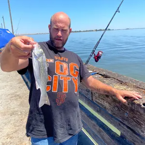 Profile Picture of James Cook (@@jamescook223) on Tiktok