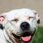 Profile Picture of John Holmes (@indefiniteexposure) on Flickr