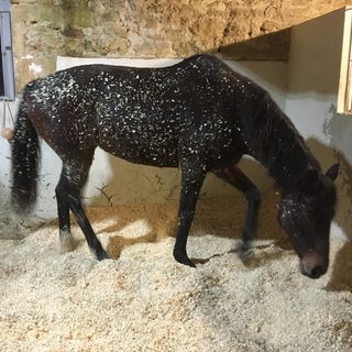 Profile Picture of Brian Hanton (@brian.hanton.3) on Facebook