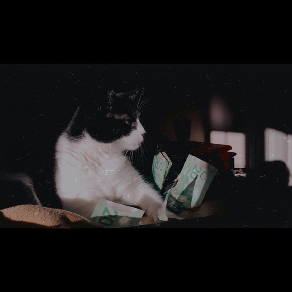 Profile Picture of Candacy Brown (@candacybrown) on Poshmark