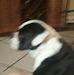 Profile Picture of Pat Hardee (@pat.hardee.10) on Facebook