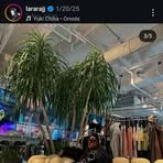 Profile Picture of Maegan Fleming (@Maegan-Fleming) on Facebook