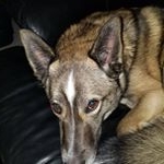 Profile Picture of Garth Stevenson (@garthonian) on Instagram