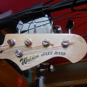 Profile Picture of Nigel Walden (@waldenni123) on Youtube