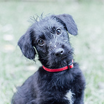 Profile Picture of Alexander Brown (@alexandermbrown52) on Flickr