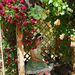 Profile Picture of Teresa Cserni-LaRue (@animerogue) on Pinterest