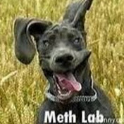 Quinn Jones - Youtube Profile Picture of Quinn Jones (@quinnjones4328) on Youtube