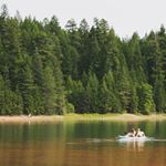 Profile Picture of Lindee (@lindeepal) on Instagram