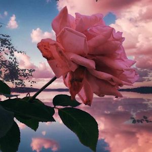 Profile Picture of sunvtaekim (@sunvtaekim) on Tiktok