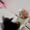 Profile Picture of Dewilder (@thenmsl) on Tiktok