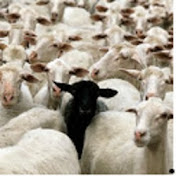 Profile Picture of Van-biff Jones (@MrVanbiffjones) on Youtube