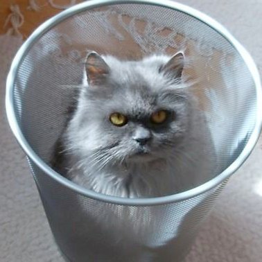 Profile Picture of Lukas Johanson (@BlazeBob123) on Twitter