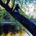 Profile Picture of Cliff Reynolds (@creyn001) on Pinterest