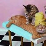 Profile Picture of Janet Gorman (@absolutemassagetherapy1) on Instagram
