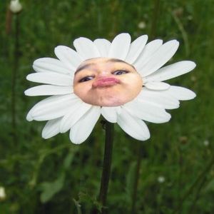 Profile Picture of Tiffany Lui (@sexigrl666) on Myspace