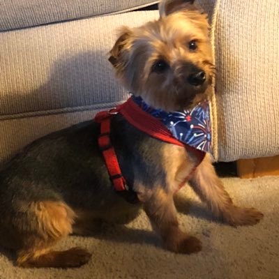 Profile Picture of Larry R Speed (@LarryRSpeed1) on Twitter