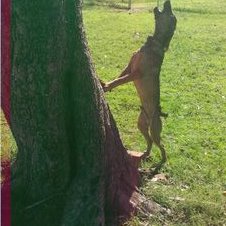 Profile Picture of Tyler Windham (@windham_tyler4) on Twitter