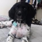 Profile Picture of Jon Boothe (@Jon-Boothe) on Facebook