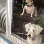 Profile Picture of Bob Hale (@Bob-Hale) on Facebook