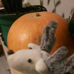 Profile Picture of Anna Stanislawska (@Anna-Stanislawska) on Facebook