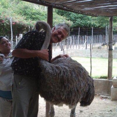 Profile Picture of Johan Nel (@johanne35044966) on Twitter