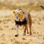 Profile Picture of Justin Ponder (@justin.ponder) on Instagram