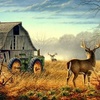 Profile Picture of Randy Byrd (@@randybyrd55) on Tiktok