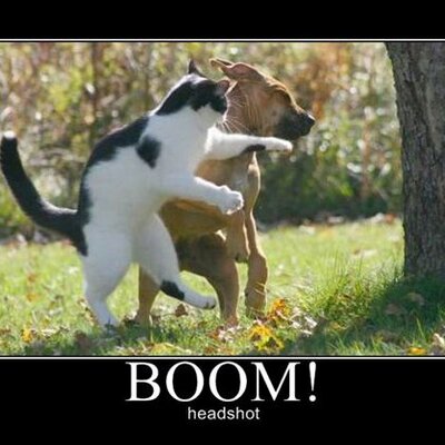 Profile Picture of Zane Peter Craig (@kyuzosubzero) on Twitter