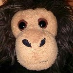 Profile Picture of Frank Keil (@monodesnudo) on Instagram